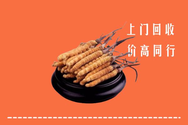 高价求购：乌当区回收散虫草