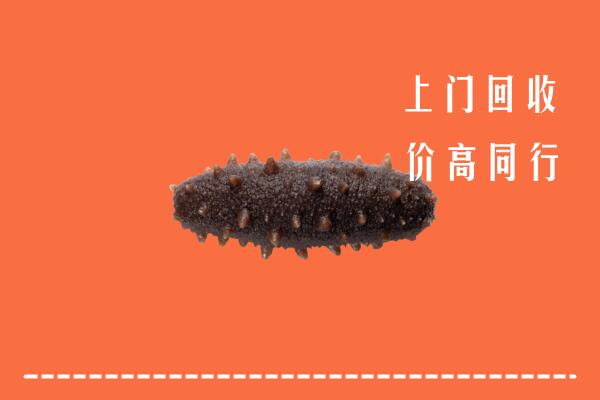 高价求购：乌当区回收海参