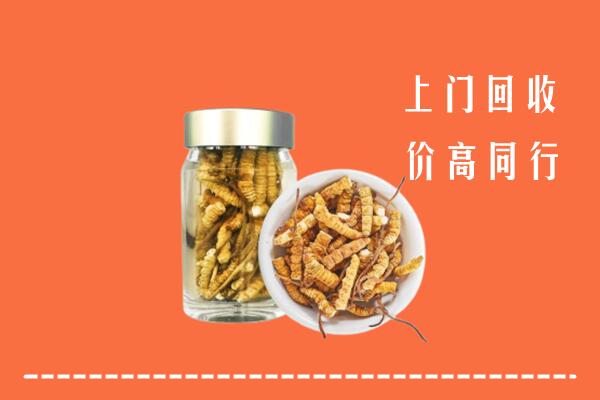 乌当区回收冬虫夏草