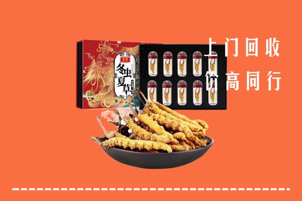 乌当区回收虫草